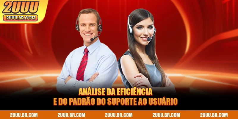 Análise da eficiência e do padrão do suporte ao usuário